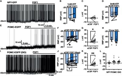 Fibroblast Growth Factor-1 Activates Neurons in the Arcuate Nucleus and Dorsal Vagal Complex